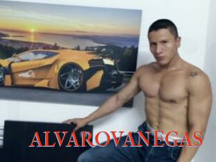 ALVAROVANEGAS