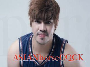 ASIANhorseCQCK
