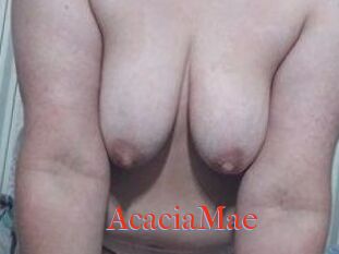 AcaciaMae