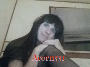 Acorn551