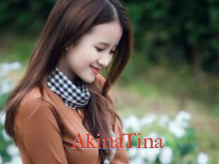 AkinaTina