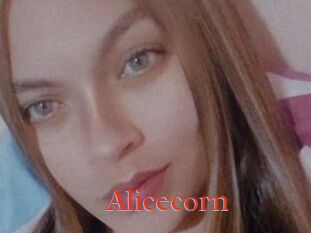 Alicecorn