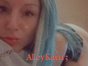 AlleyKat113