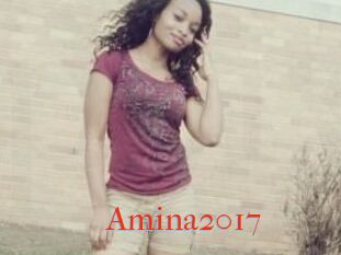 Amina2017