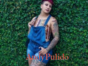 AndyPulido