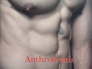 Anthrodomis