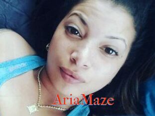 Aria_Maze