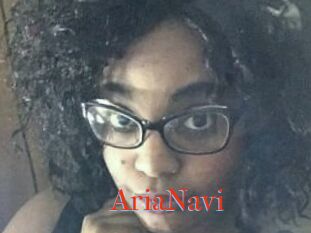 AriaNavi