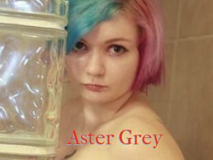 Aster_Grey