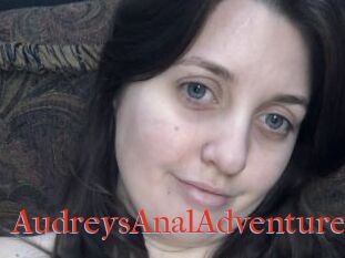 AudreysAnalAdventures