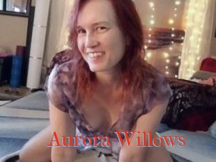 Aurora_Willows