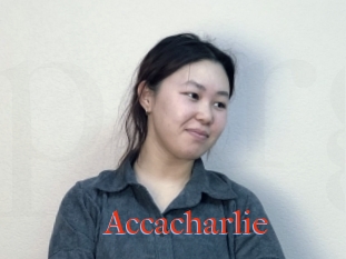 Accacharlie