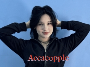 Accacopple
