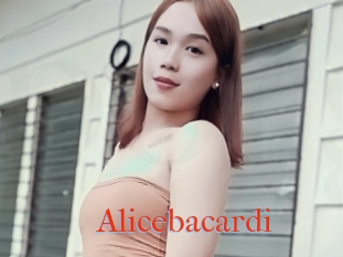 Alicebacardi