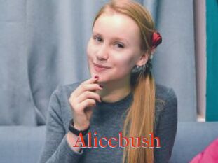 Alicebush