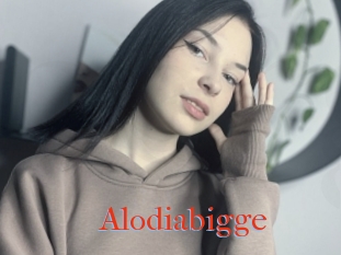 Alodiabigge