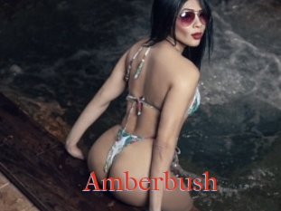 Amberbush