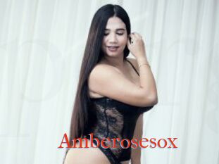 Amberosesox