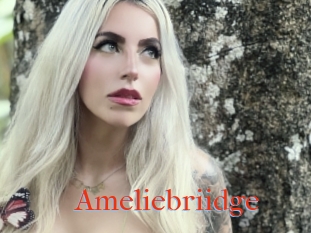 Ameliebriidge
