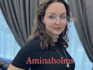 Aminaholms