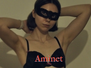 Aminet