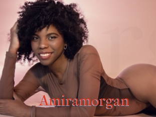 Amiramorgan