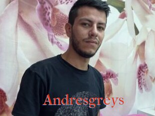 Andresgreys