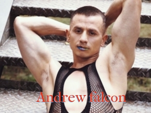 Andrew_falcon