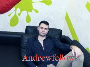 Andrewfellow
