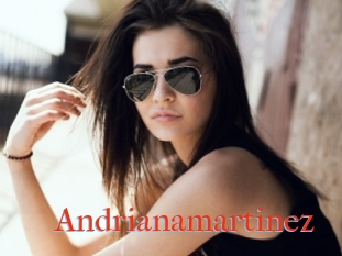 Andrianamartinez