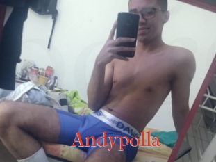 Andypolla