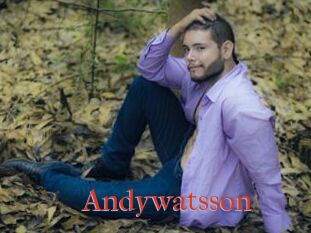 Andywatsson