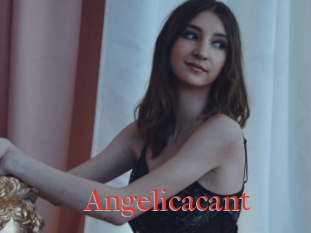 Angelicacant