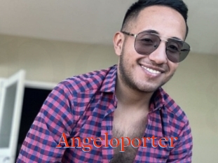 Angeloporter