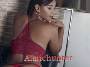 Angiehunter