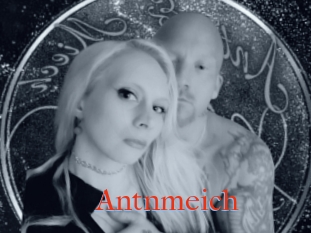 Antnmeich