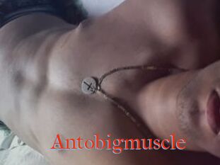 Antobigmuscle