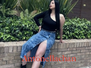 Antonellachan