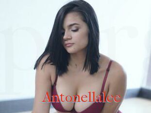 Antonellalee