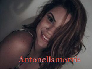Antonellamorris