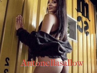 Antonellasallow