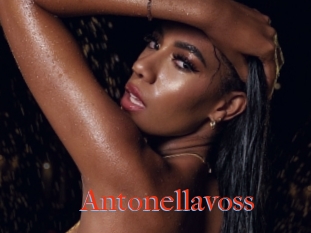 Antonellavoss
