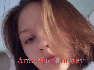 Antoniacrammer