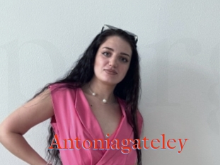 Antoniagateley