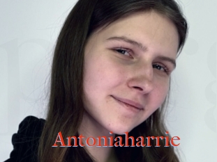 Antoniaharrie