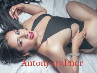Antonyapalmer