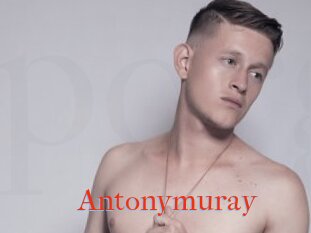 Antonymuray