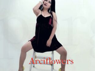 Arciflowers
