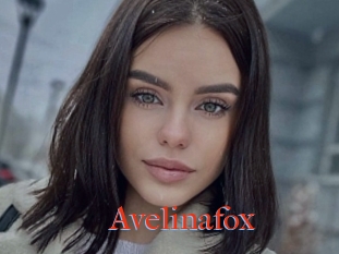 Avelinafox