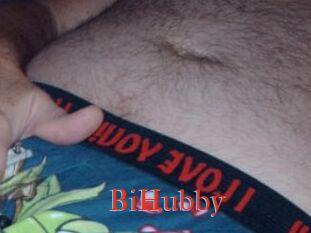BiHubby